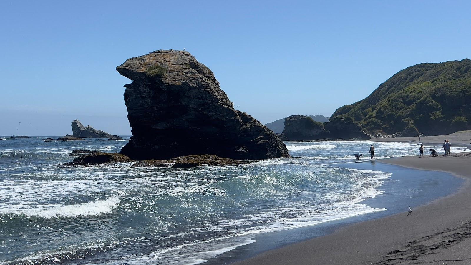 Sandee Boca Norte Beach Photo