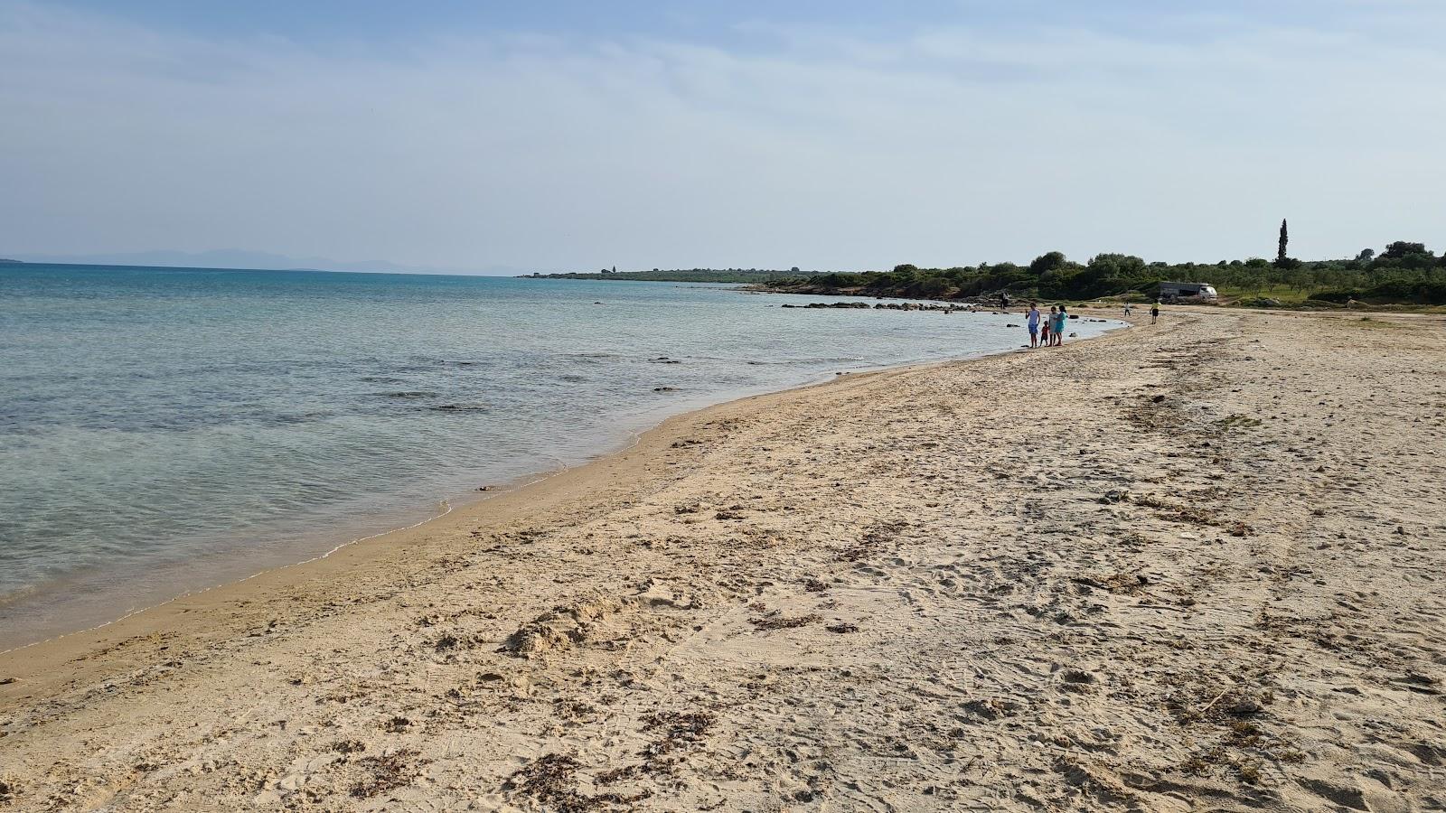 Sandee Uslu Plaji