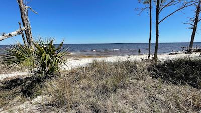 Sandee - Ochlockonee Point