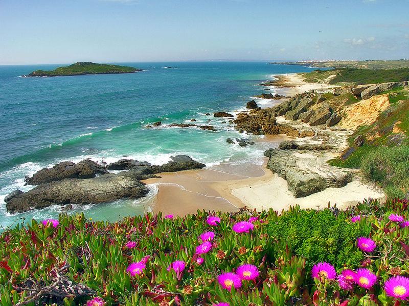 Sandee Praia Dos Buzinhos