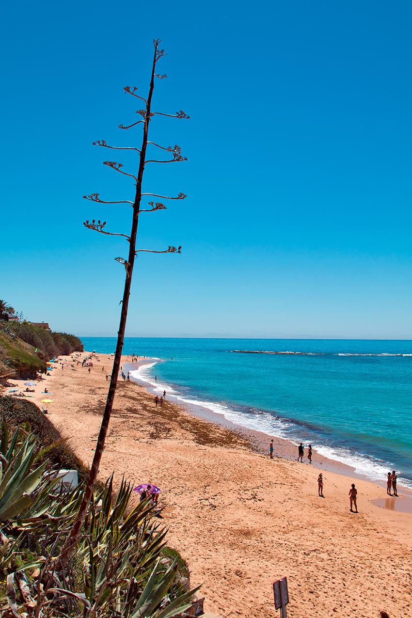 Sandee - Playa De Los Canos De Meca