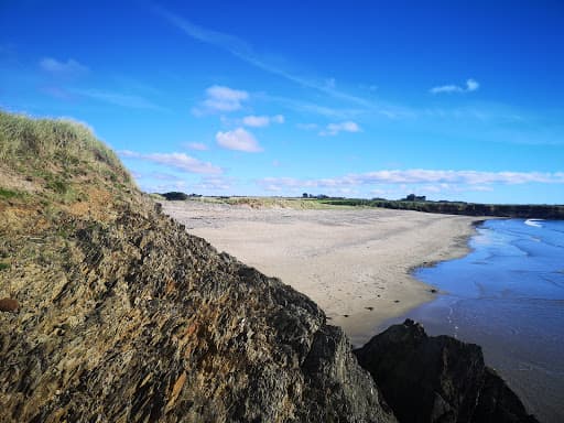 Sandee Bannow Island Beach Photo