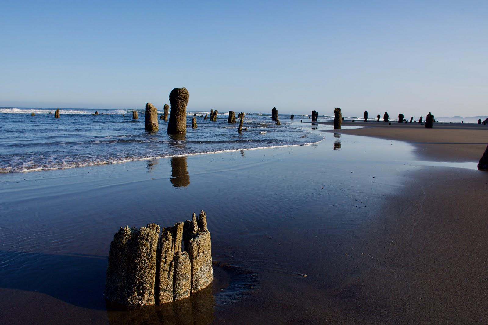 Sandee - Neskowin Beach State Recreation Site