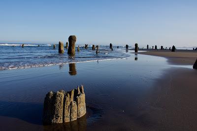 Sandee - Neskowin Beach State Recreation Site