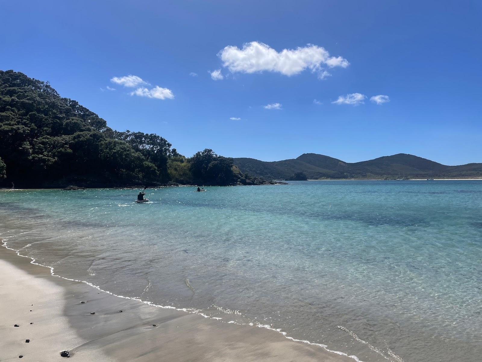 Sandee Waikato Bay Carpark