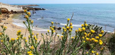 Sandee - Spiaggia Torretta Granitola