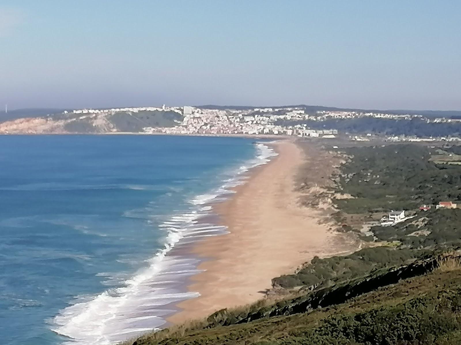 Sandee Plage Naturiste Salgado Photo