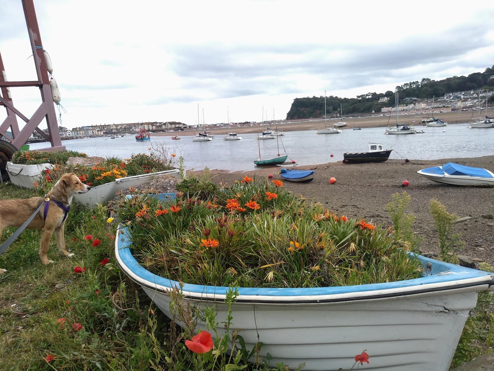 Sandee Polly Steps, Teignmouth