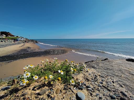 Sandee Ballyconnigar Lower Bay Beach Photo