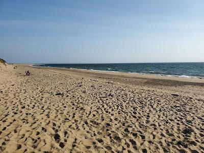 Sandee - Herring Cove