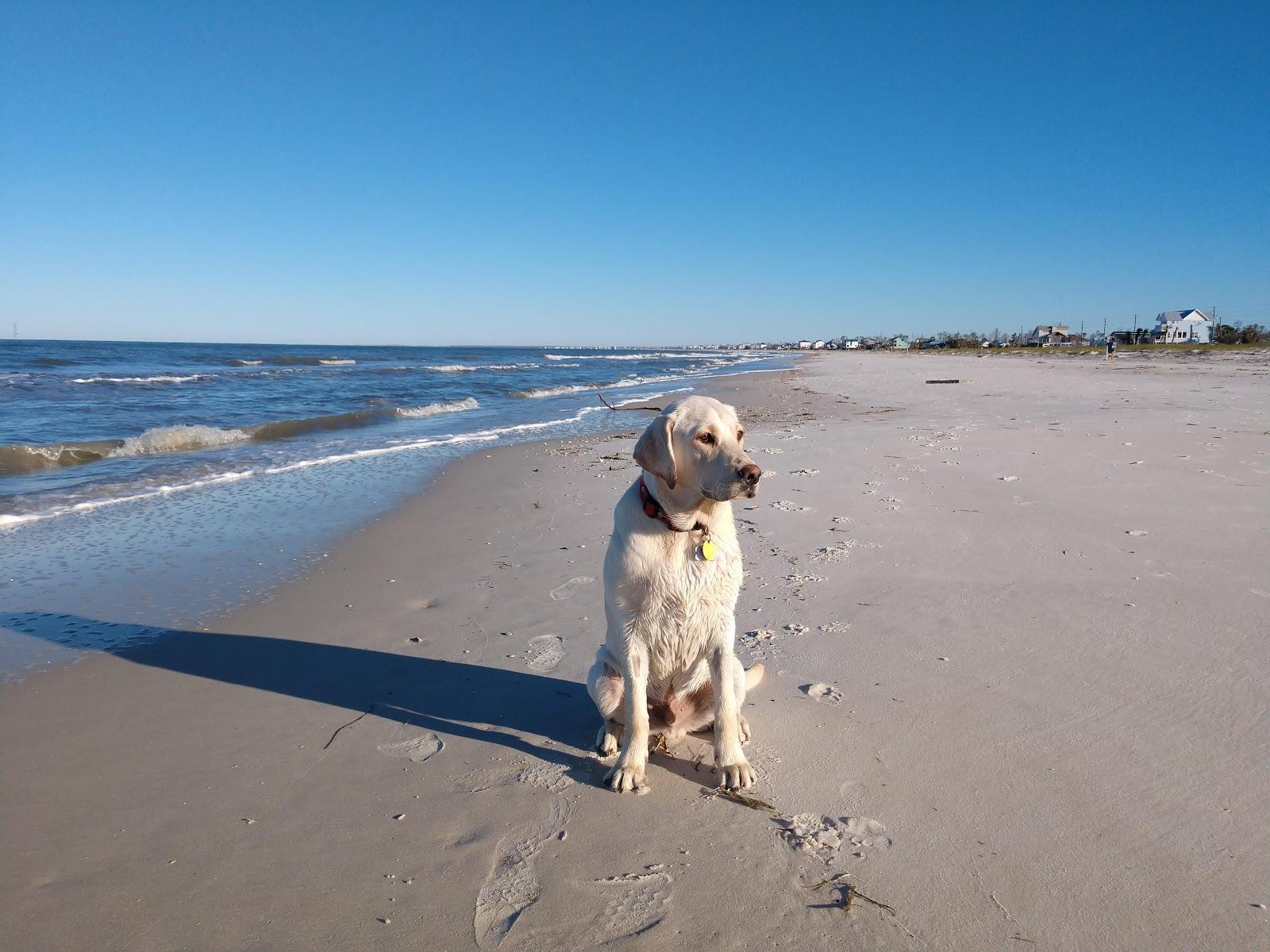 Sandee - St. Joe Beach