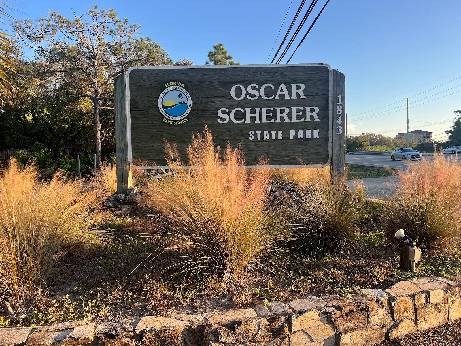 Sandee - Oscar Scherer State Park Beach