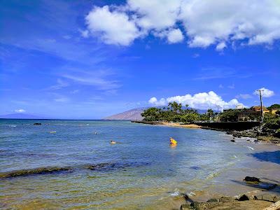 Sandee - Cove Beach Park