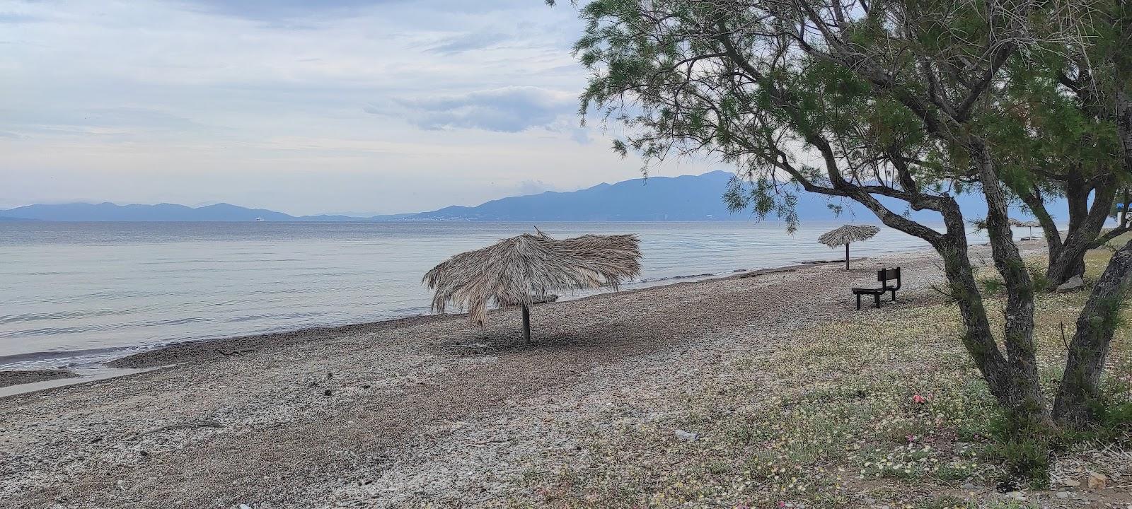 Sandee Souvala Arkitsa Beach