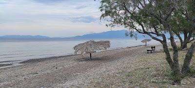 Sandee - Souvala Arkitsa Beach