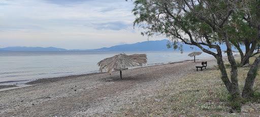 Sandee Souvala Arkitsa Beach Photo