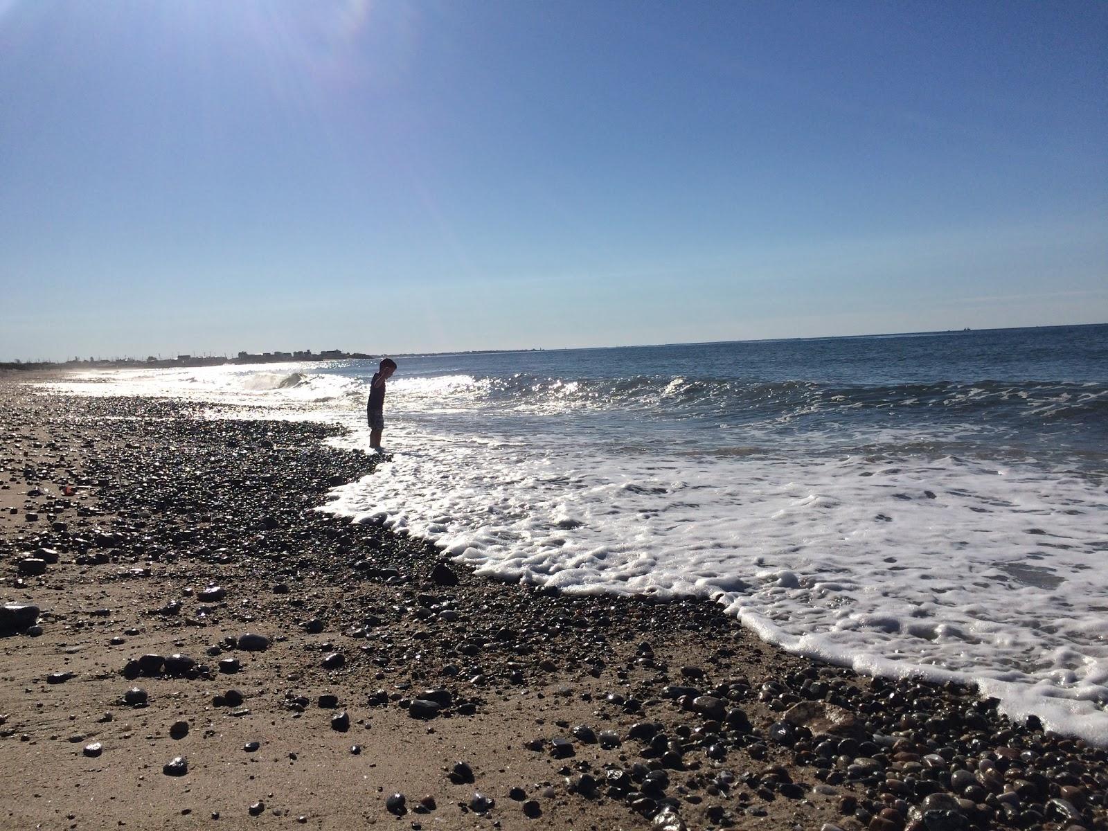 Sandee - Roy Carpenter's Beach