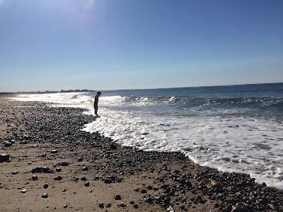 Sandee - Roy Carpenter's Beach