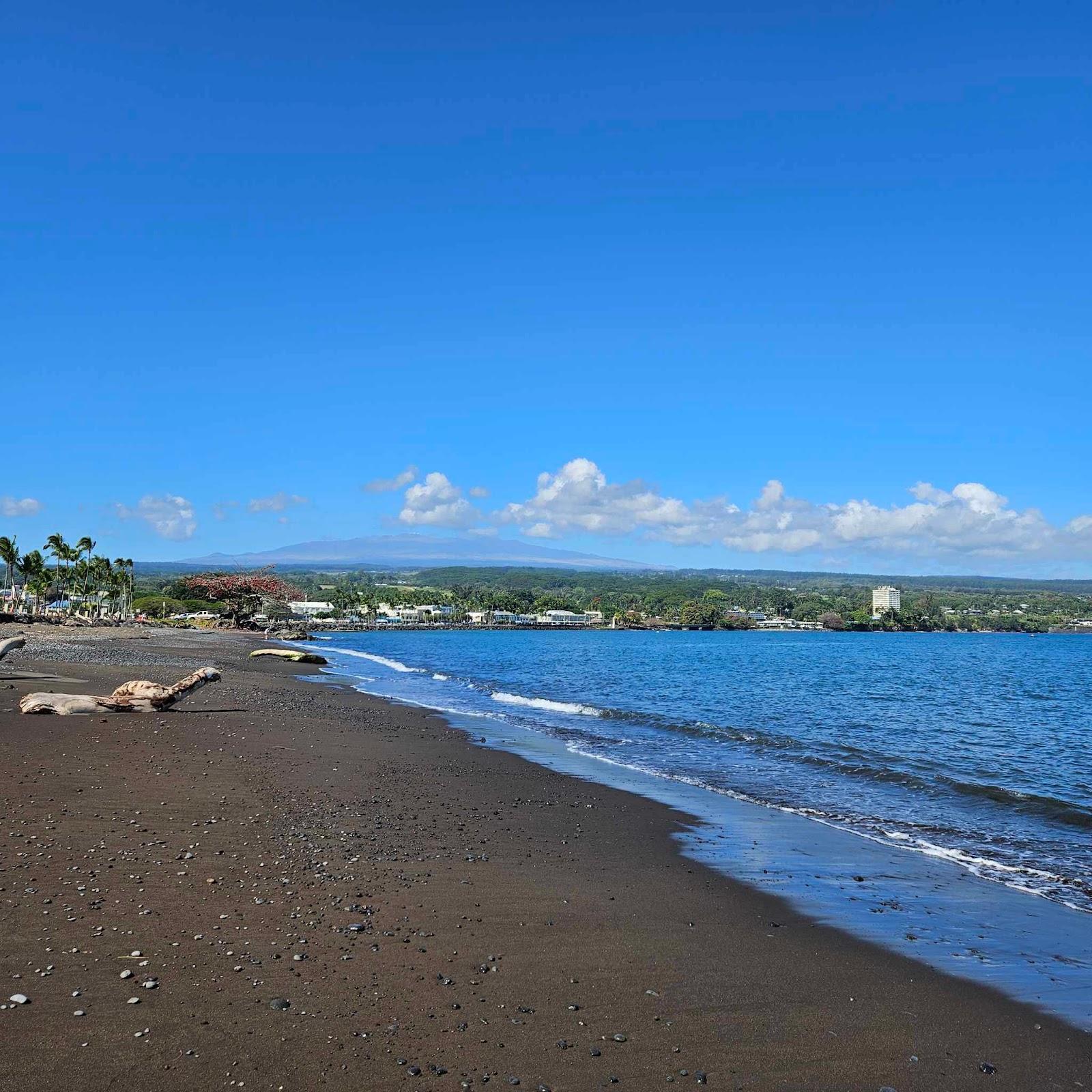 Sandee - Hilo Bayfront Park