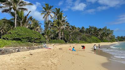 Sandee - Laniloa Beach