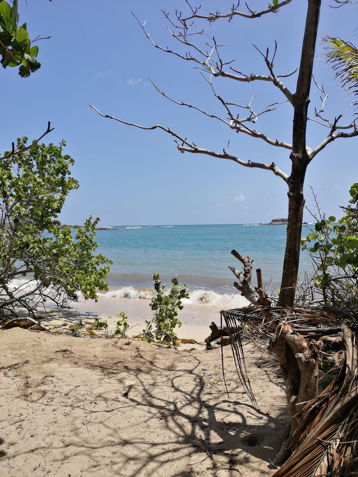 Sandee - Plage Des Pruneaux
