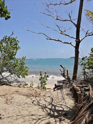 Sandee - Plage Des Pruneaux
