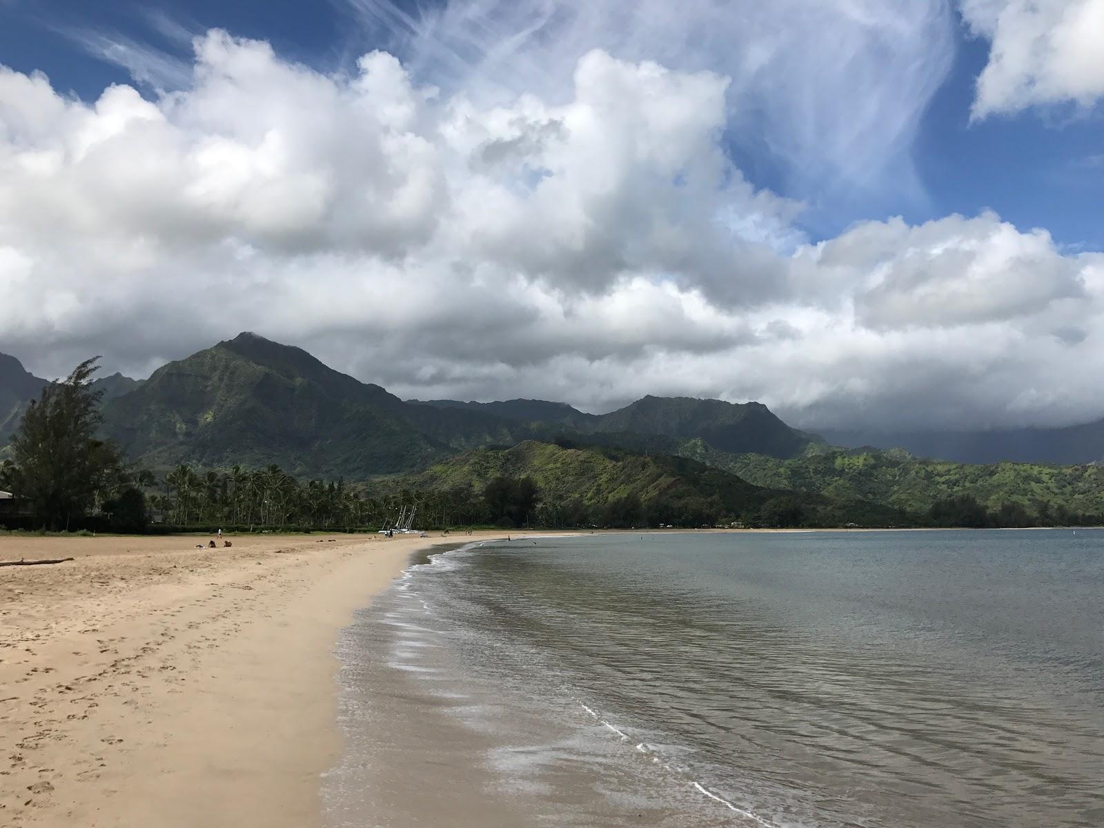 Sandee - Hanalei Beach