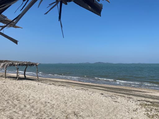 Sandee - Playa De La Laguna Superior Alvaro Obregon
