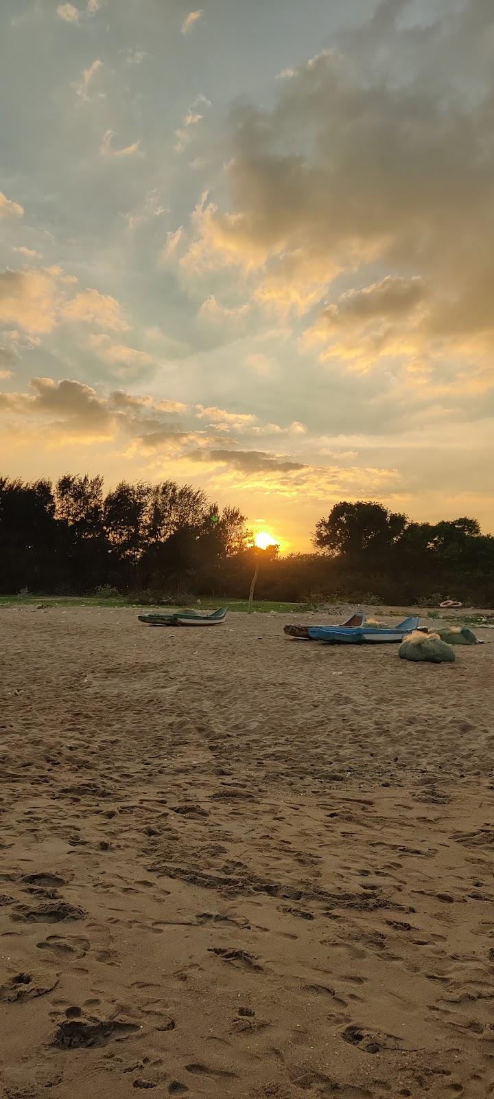 Sandee Anichankuppam Beach