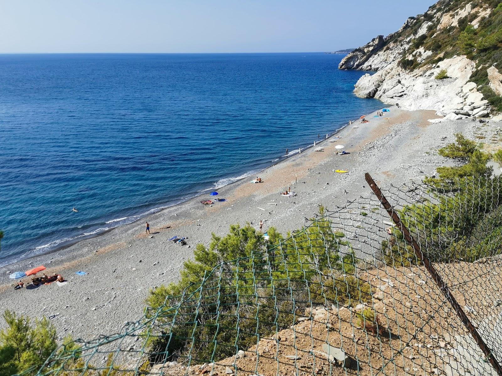 Sandee Spiaggia Di Colle Palombaia