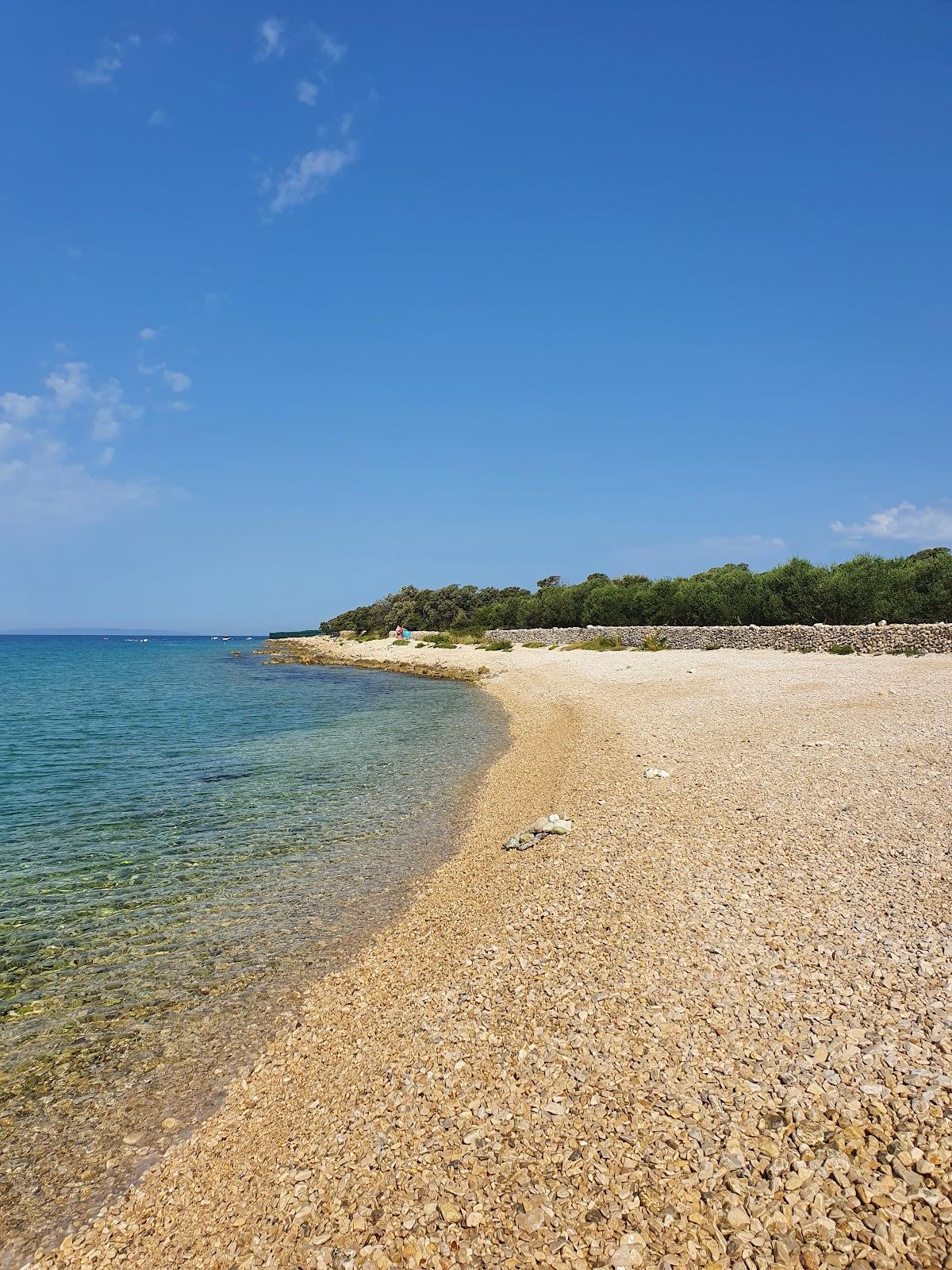 Sandee Dog Beach - Gajac