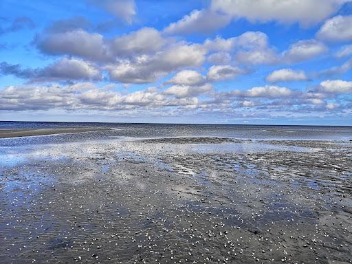 Sandee - Øster Hurup Strand