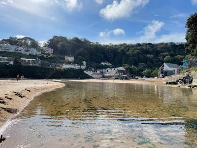 Sandee - Salcombe South Sands Beach