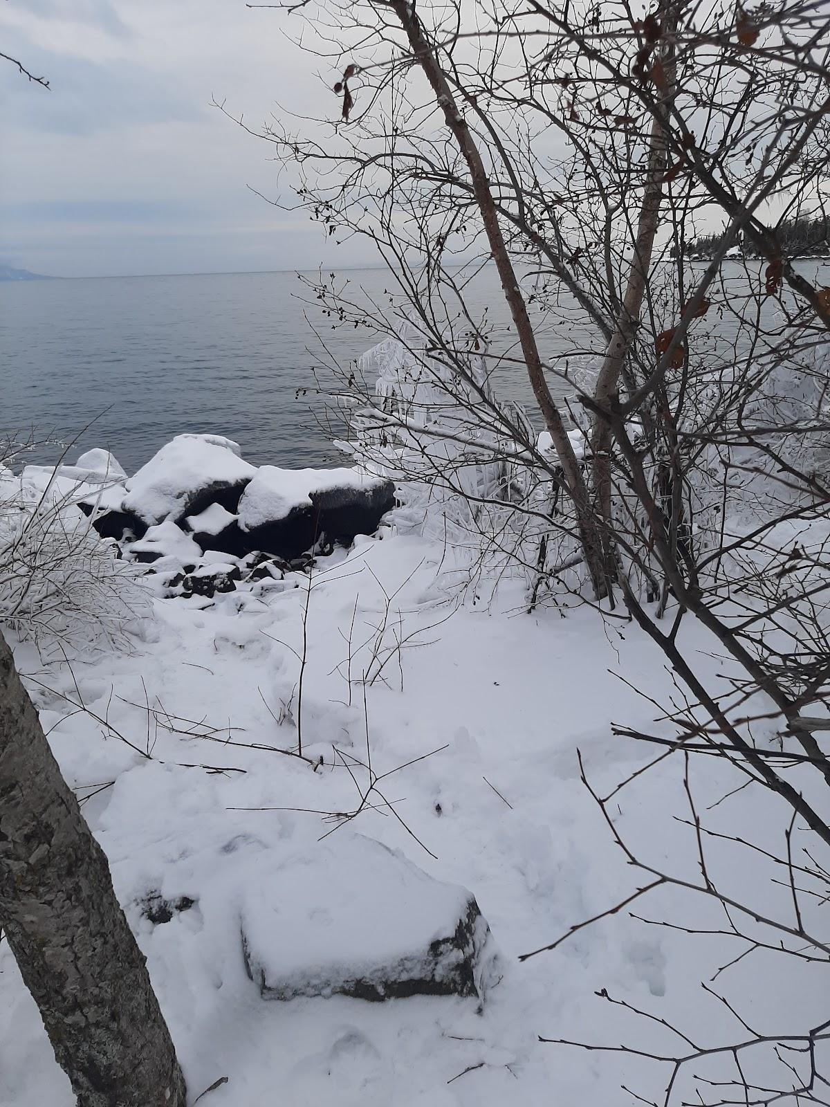 Sandee - Silver Harbour Conservation Area