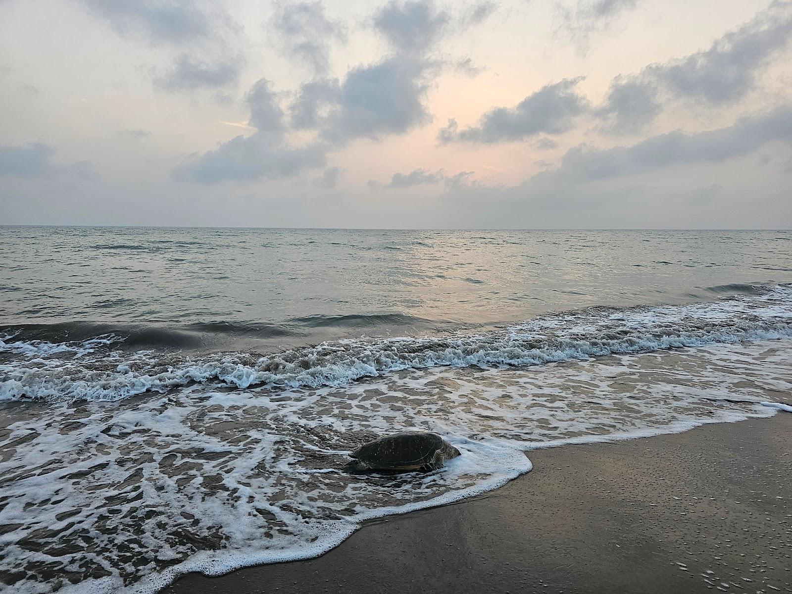 Sandee Al-Radah Beach