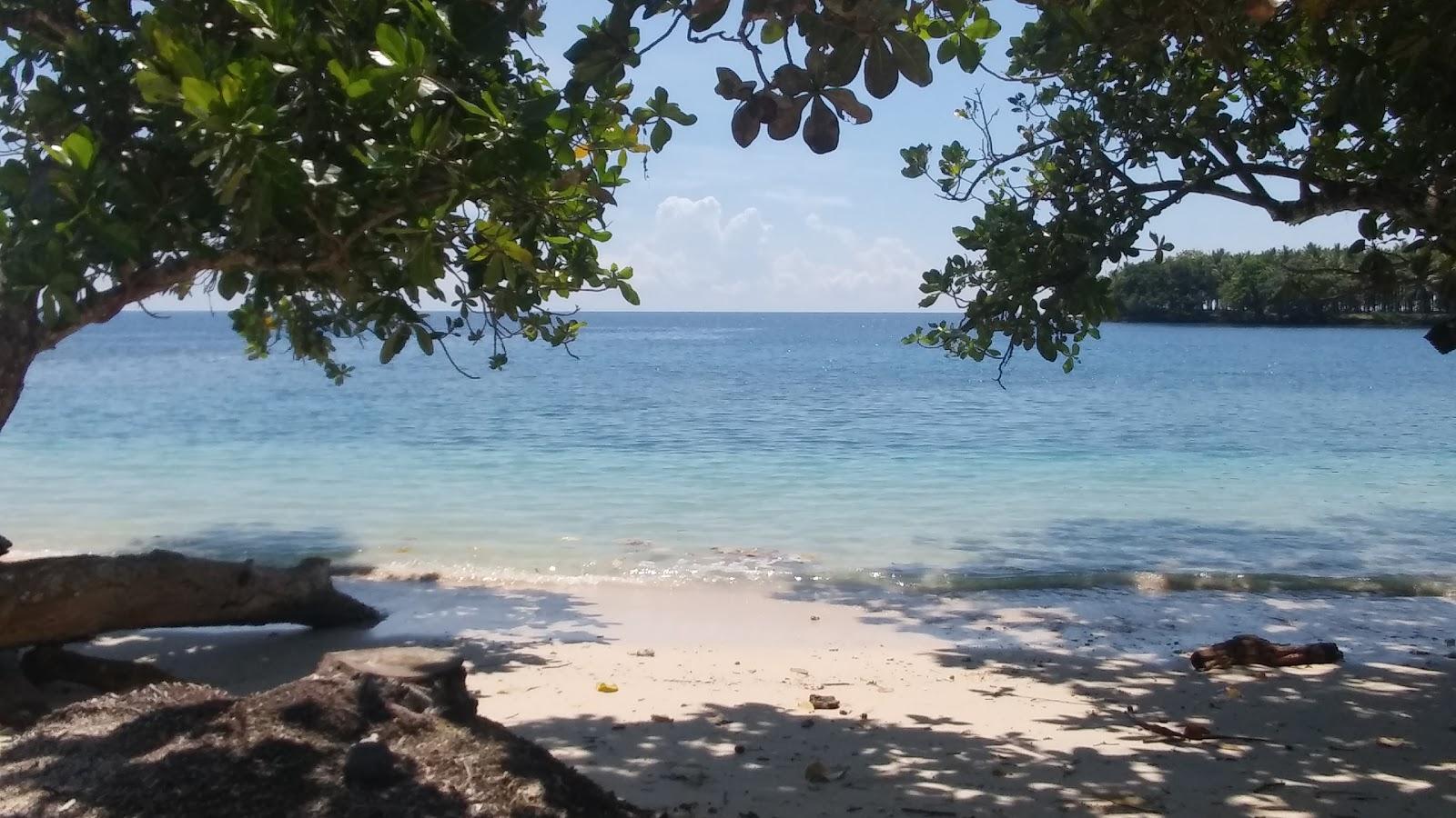 Maluku Islands Photo - Sandee