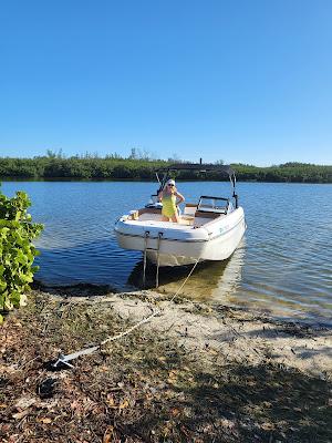 Sandee - Palmer Point Beach