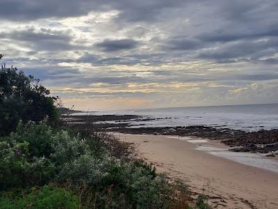 Sandee - Yellow Sands Beach