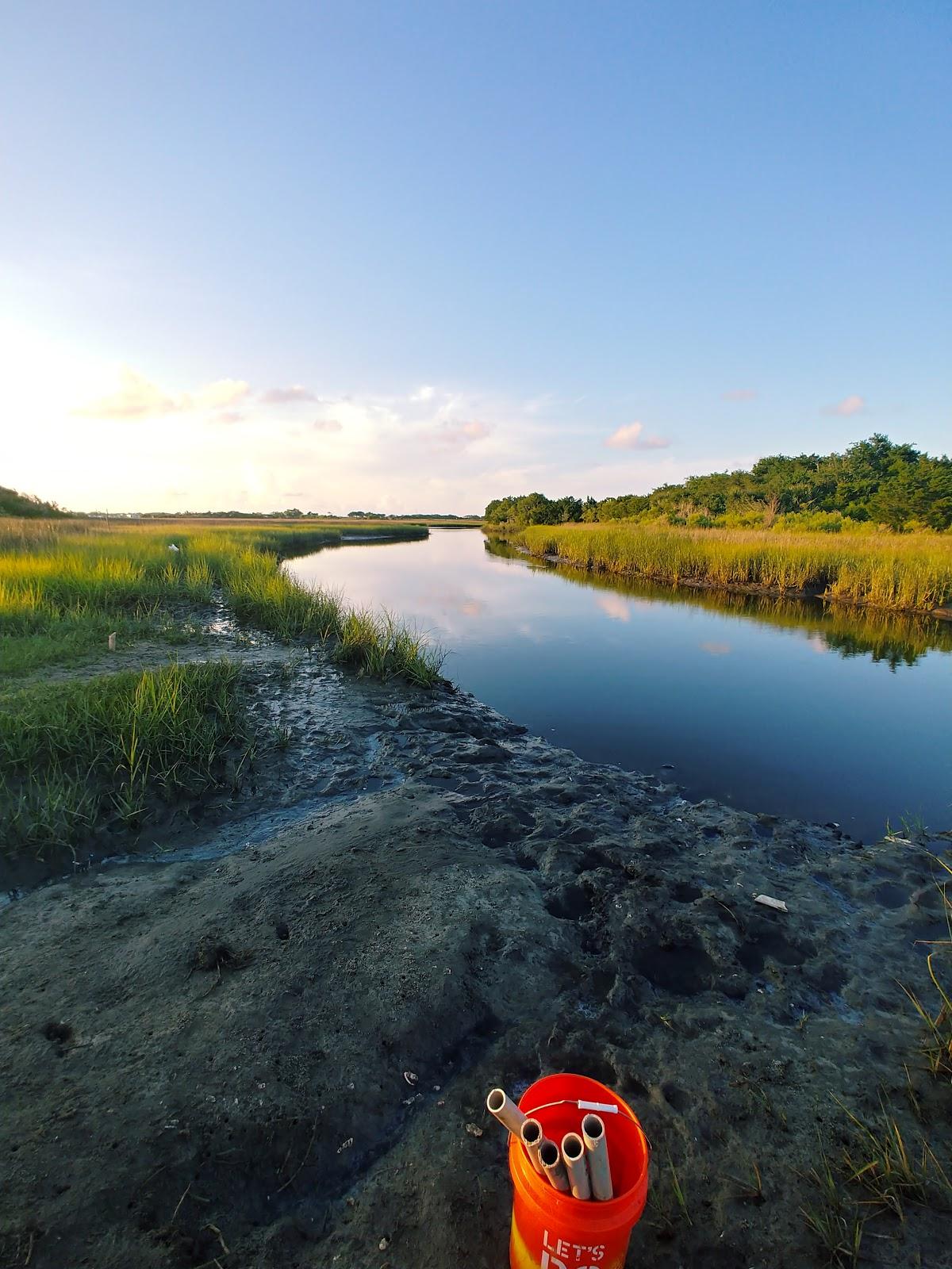 Sandee - Timucuan Ecological And Historical Preserve