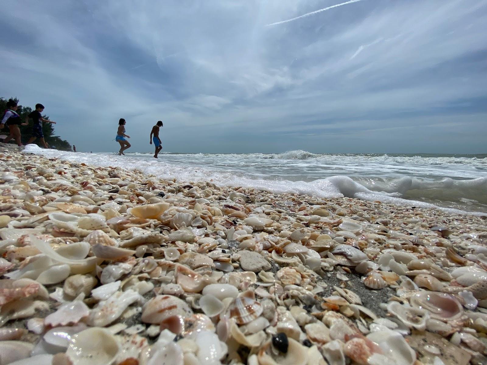 Sandee - Allison Hagerup Beach Park