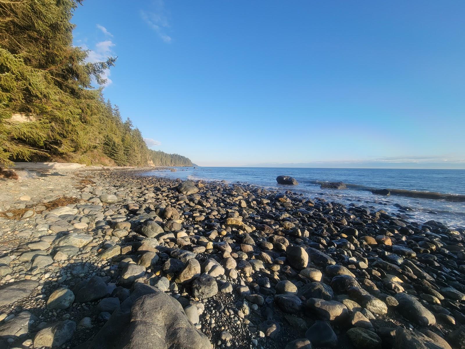 Sandee Bear Beach Photo