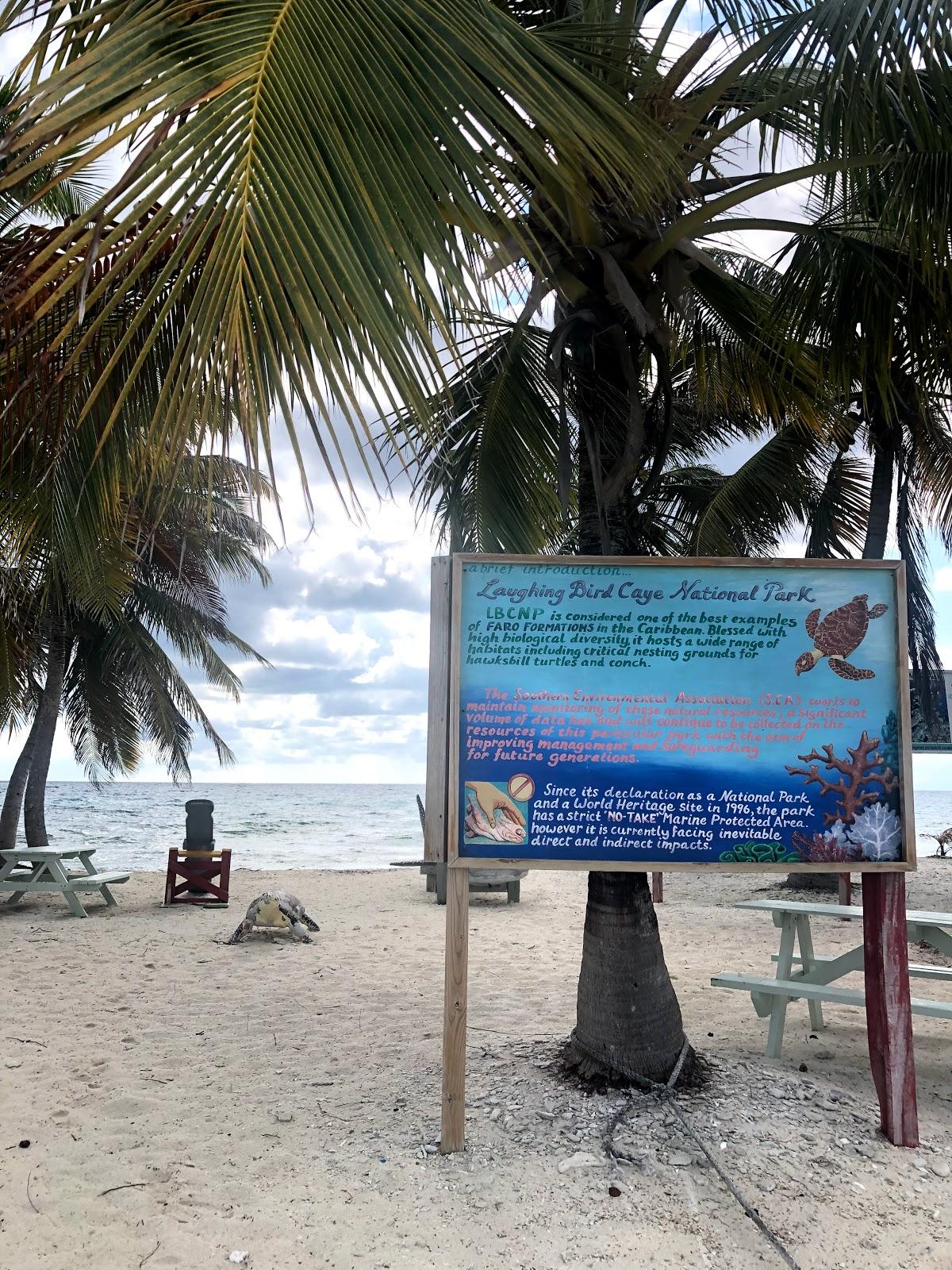 Sandee - Laughing Bird Caye