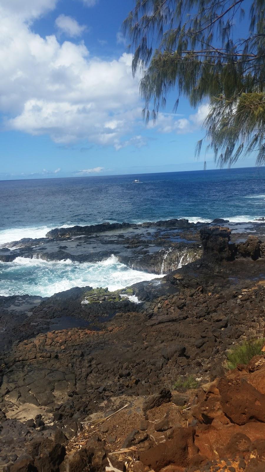 Sandee - Lucy Wright Beach Park