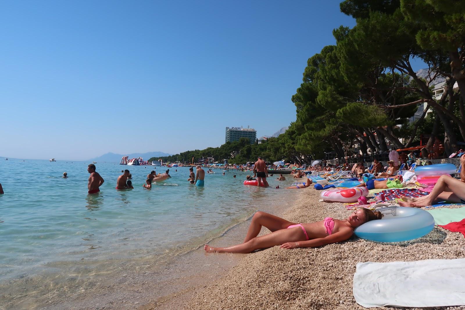 Sandee Donja Luka Beach Photo