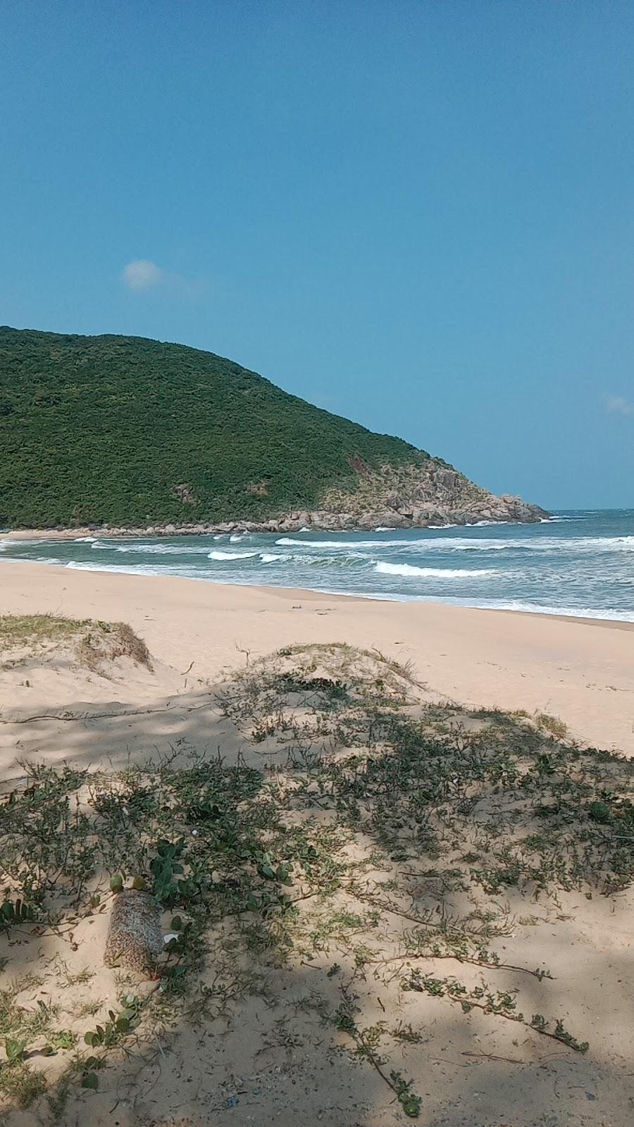 Sandee Tan Thanh Beach