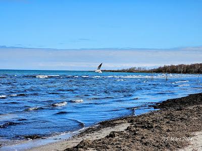 Sandee - Hundestrand Boltenhagen Tarnewitz