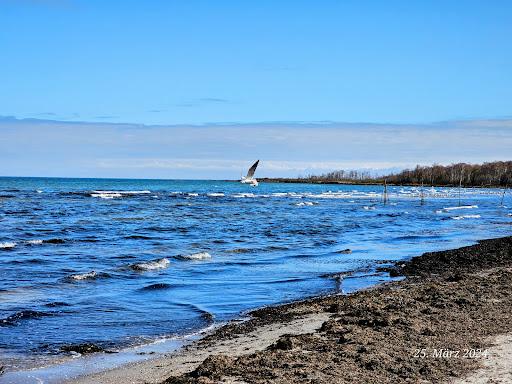 Sandee - Hundestrand Boltenhagen Tarnewitz