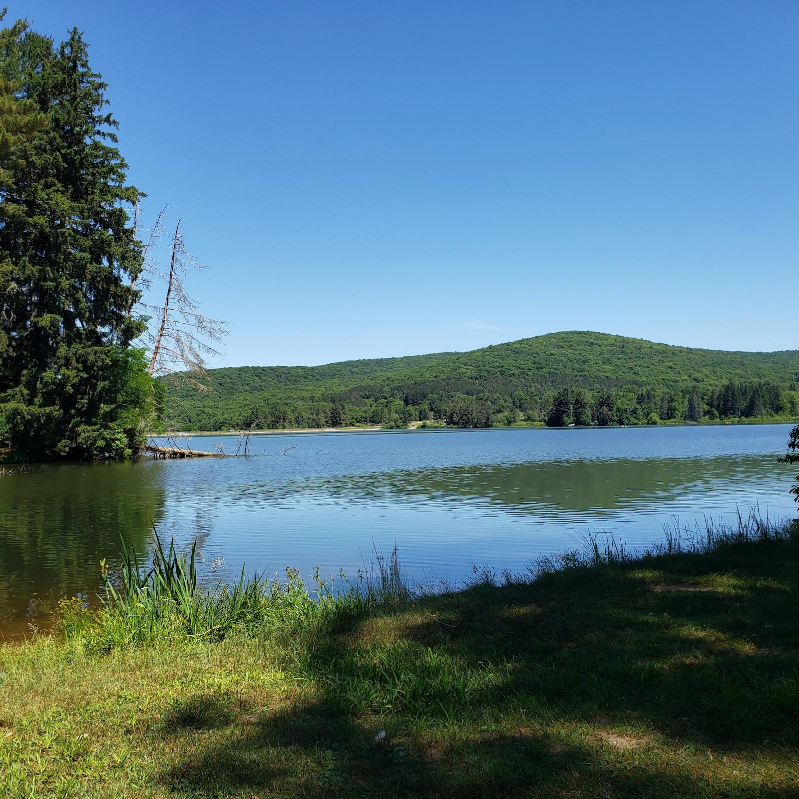 Sandee - Allegany State Park Beach Red House