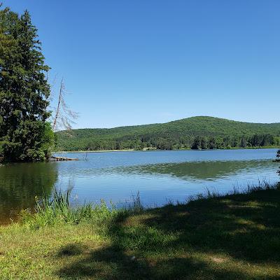 Sandee - Allegany State Park Beach Red House