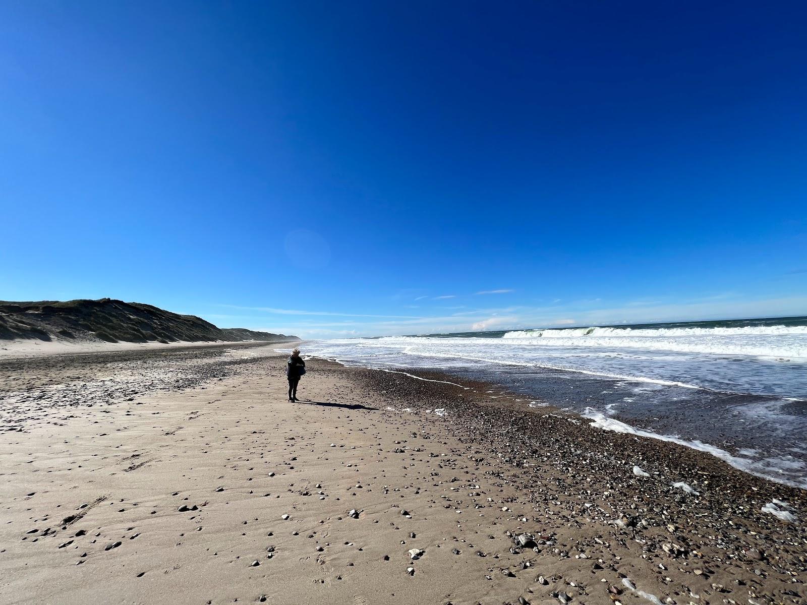 Sandee Lyngby Strand